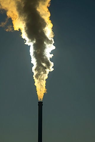 Smoking chimney of a modern biomass-fired power station, Ulm, Baden-WâˆšÂºrttemberg, Germany