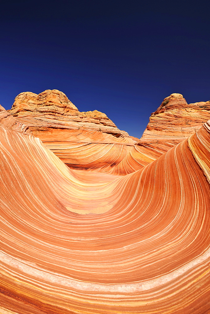 The Wave, banded eroded Navajo sandstone rocks with Liesegang bands or Liesegang rings, North Coyote Buttes, CBN, Pareah Paria Canyon, Vermilion Cliffs National Monument, Arizona, Utah, Southwestern USA, USA