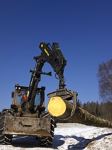 Logging, felled wood being processed into lumber, Freiamt, Black Forest, Baden-Wuerttemberg, Germany, Europe, PublicGround