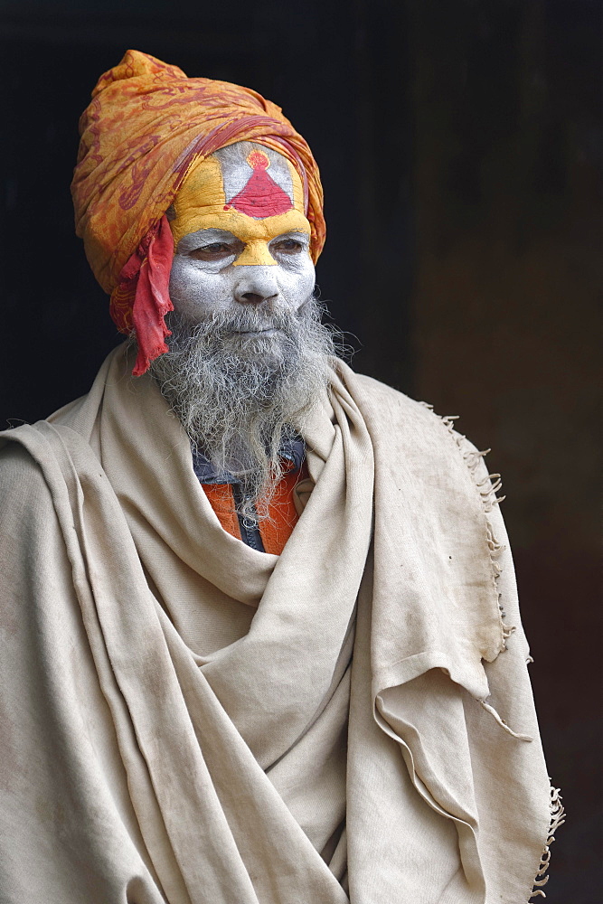 Hinduist Sadhu, Holy Man, Pashupatinath Temple, Kathmandu, Nepal, Asia