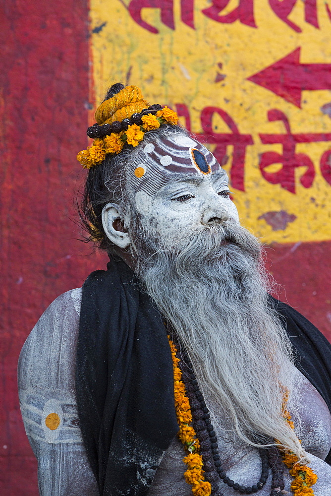 Sadhu, holy man, portrait, Varanasi, Uttar Pradesh, India, Asia