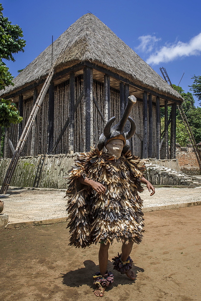 Dancer in traditional clothing wearing carved mask, Atchum, Fon's Palace, Bafut, Bamenda, North-West Region, Cameroon, Africa