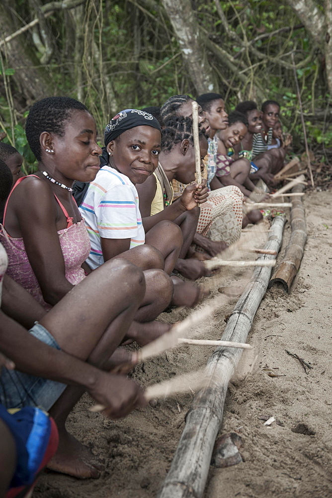 Pygmies, people of Baaka, or Baka, or Ba'aka, Music Performance and Dance, Grand Batanga, Southern Region, Cameroon, Africa