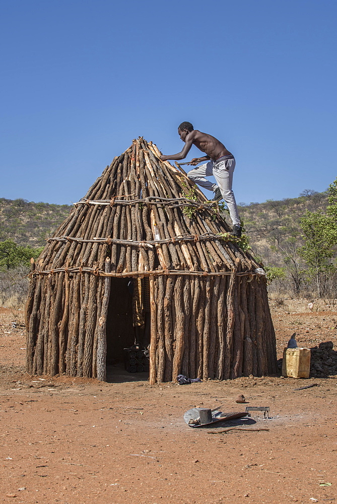 Man of the people of Ovahimba or Himba builds on the roof of a wooden hut, Kunene district, Namibia, Africa