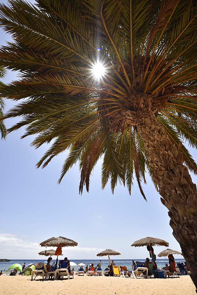 Vacationers, sun rays through palm tree on the beach, Playa de las Teresitas, San Andres, Tenerife, Canary Islands, Spain, Europe