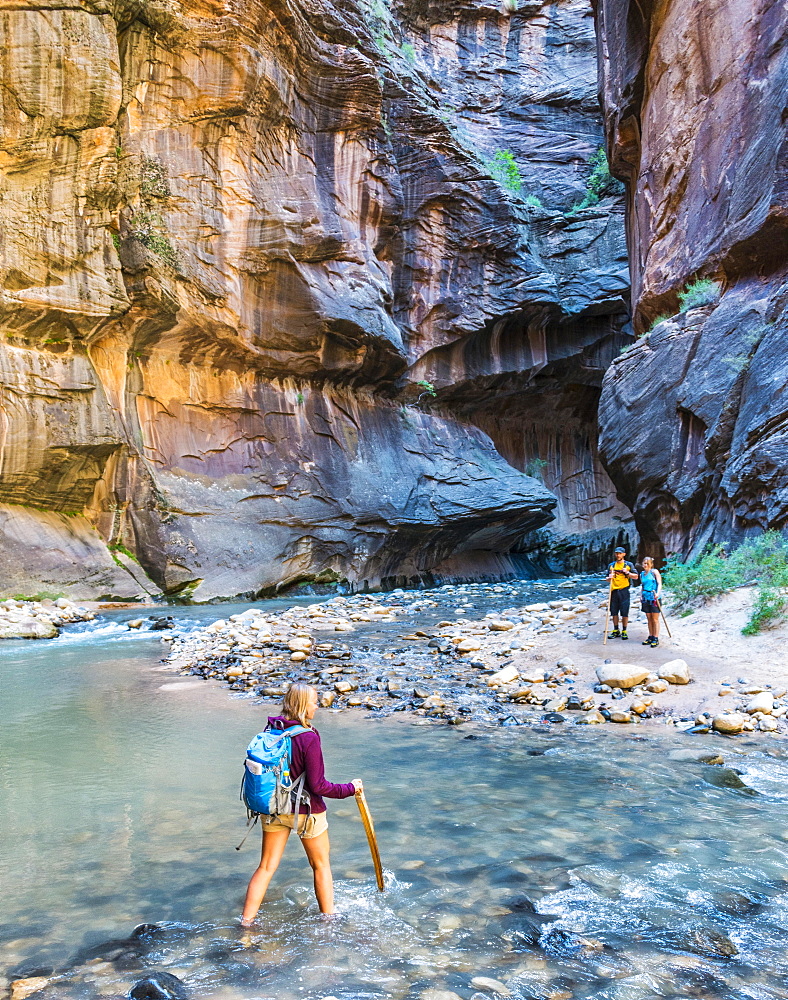 Hiker crossing river, Zion Narrows, narrow of the Virgin River, steep faces of Zion Canyon, Zion National Park, Utah, USA, North America