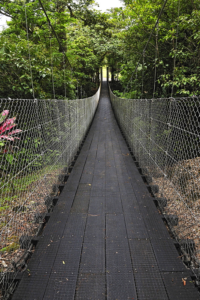 Suspension bridge, Danta Bridge, near the Arenal Observatory Lodge, Alajuela Province, Costa Rica, Central America