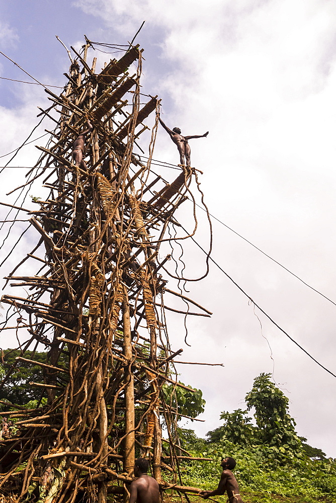 Land diver preparing to jump, Pentecost Island, Vanuatu, Oceania