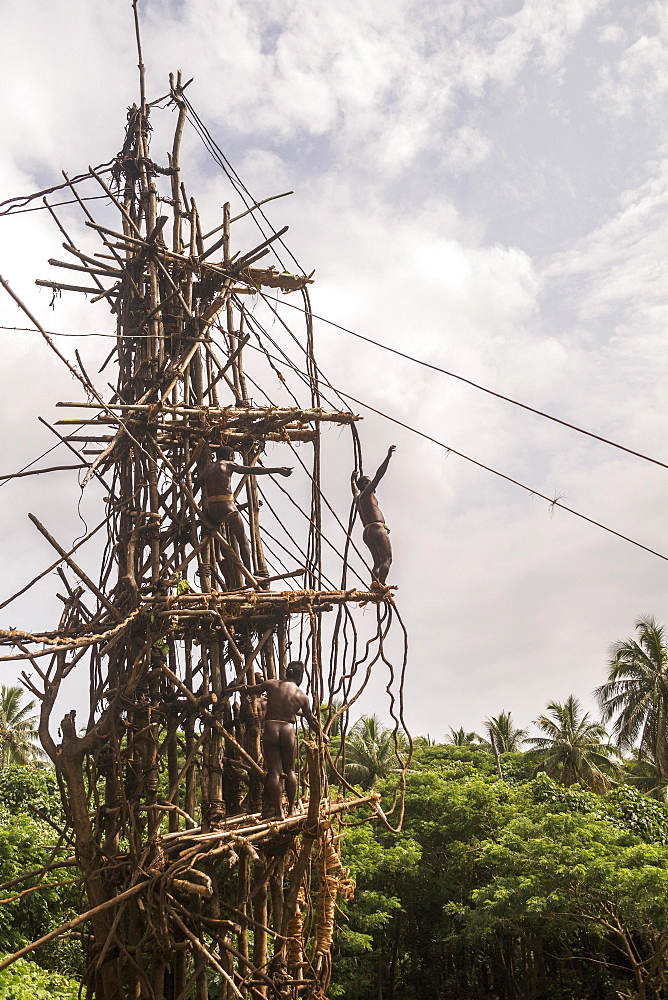 Land diver preparing to jump, Pentecost Island, Vanuatu, Oceania