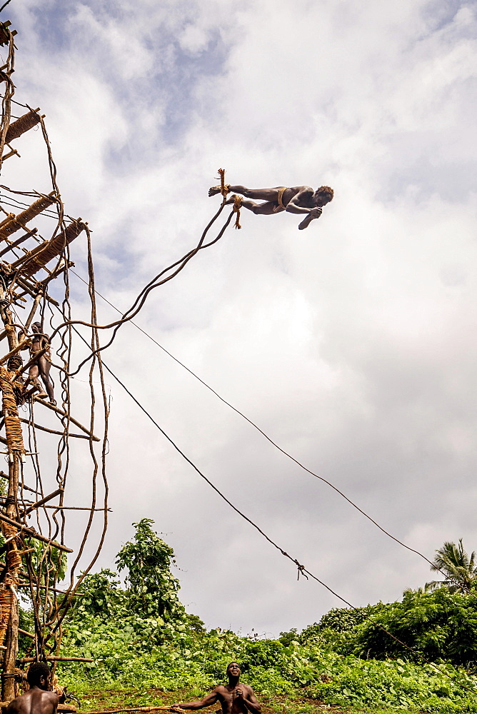 Land diver preparing to jump, Pentecost Island, Vanuatu, Oceania