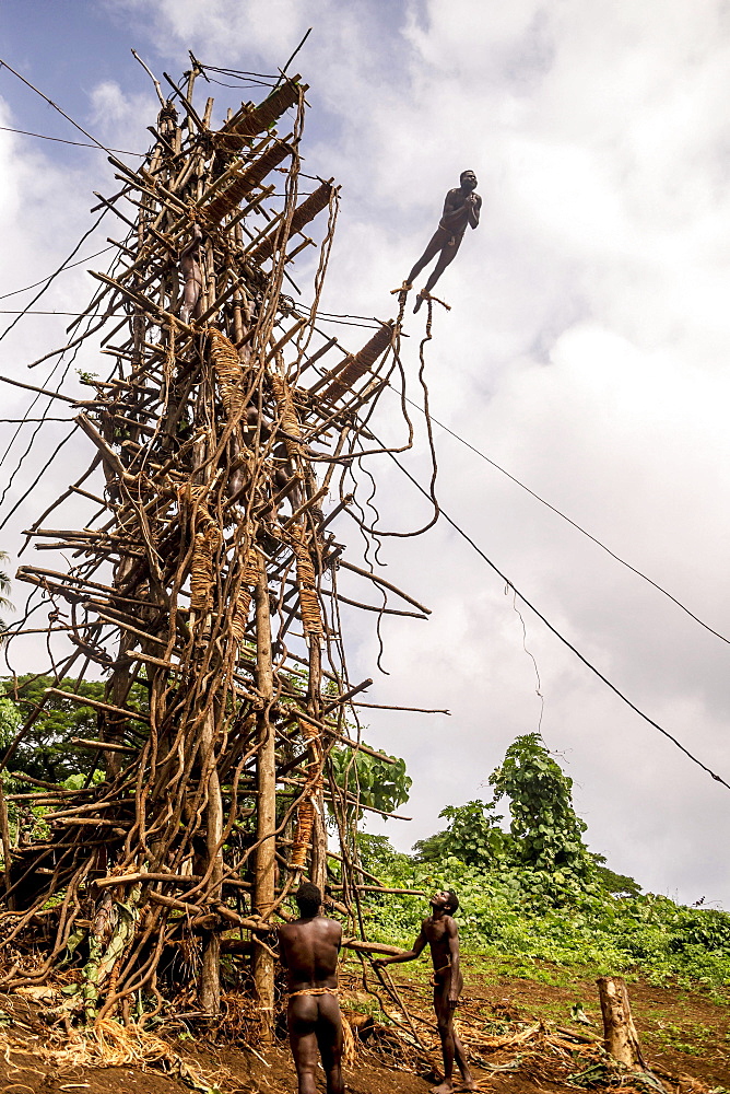 Land diver jumping, Pentecost Island, Vanuatu, Oceania