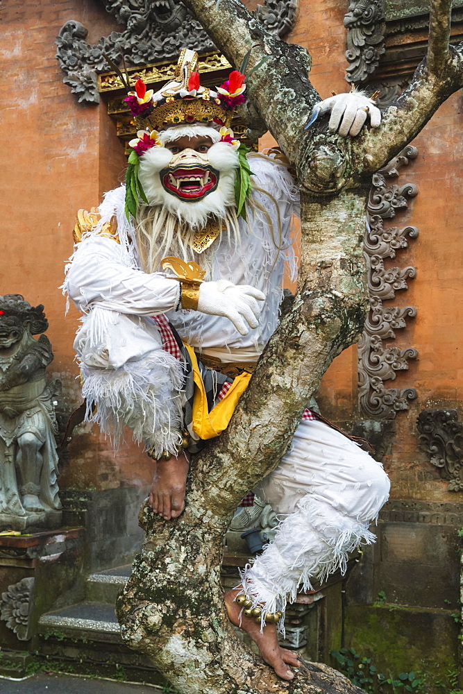 Balinese Kecak dancer, Ubud, Bali, Indonesia, Asia