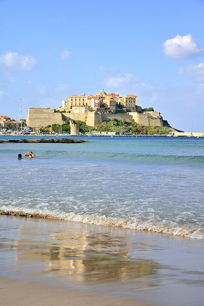 View of the citadel from the town beach, Calvi, Corsica, France, Europe