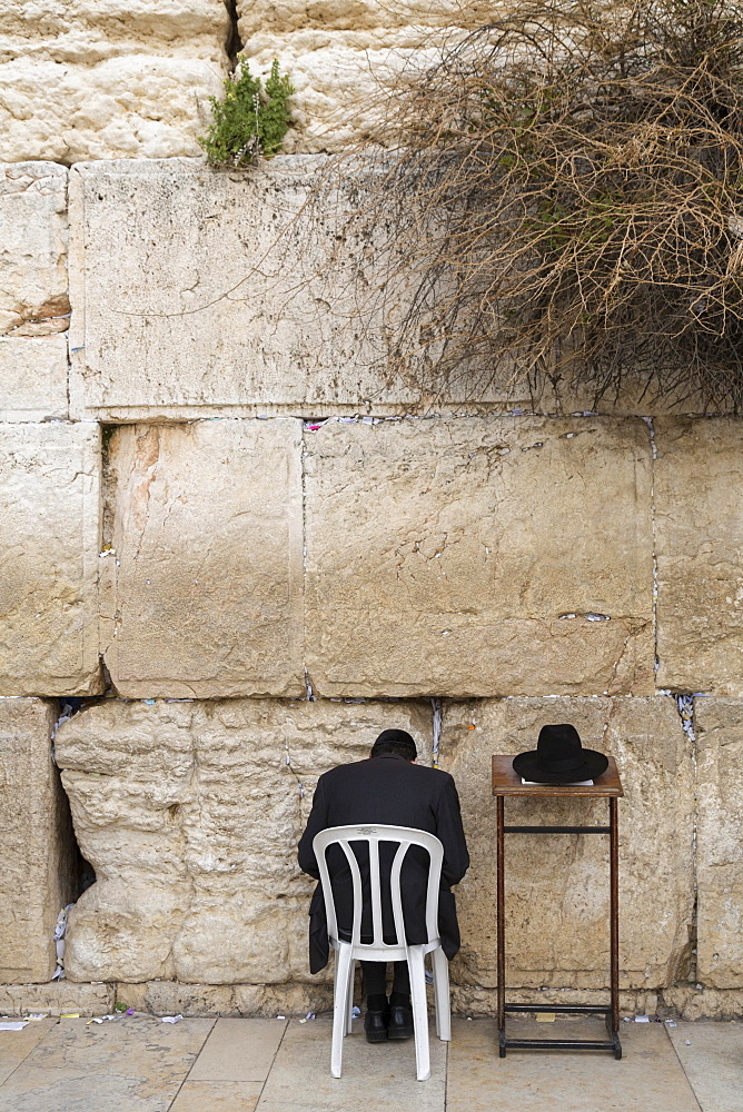 Ultra-orthodox Jew praying at the Western Wall, Wailing Wall, rear view, Jerusalem, Israel, Asia