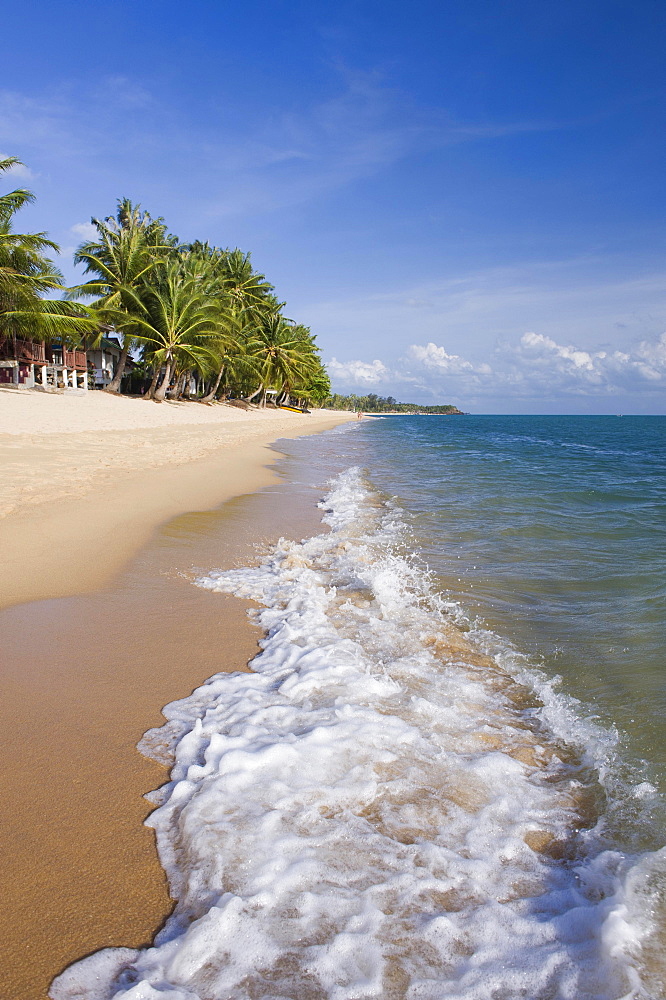 Beach with palm trees, Mae Nam Beach, Ko Samui, Thailand, Asia