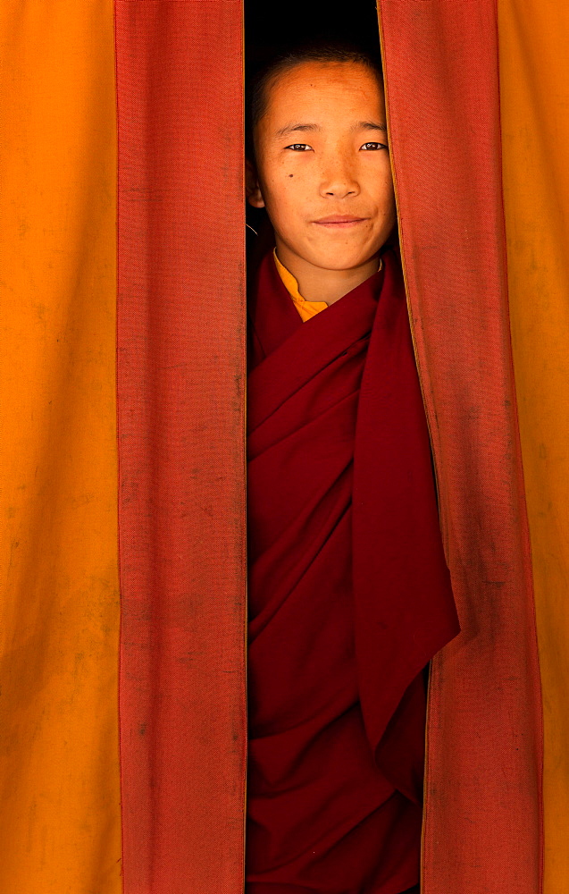 Young monk from Amitabha Monastery, Kathmandu Valley, Kathmandu, Nepal, Asia