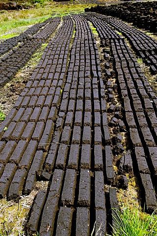 Peat cutting between Doon and Clonmacnoise, County Offaly, Ireland, Europe