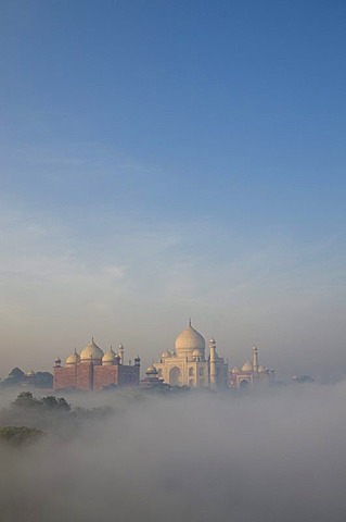 Taj Mahal, UNESCO World Heritage Site, arising out of the morning fog over river Yamuna, Agra, Uttar Pradesh, India, Asia