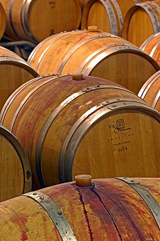 Wine barrels, Wine barrels, Chianti, Castello di Brolio cellar, Brolio Castle Cellar, Ricasoli Vineyard, Siena Province, Tuscany, Italy, Europe