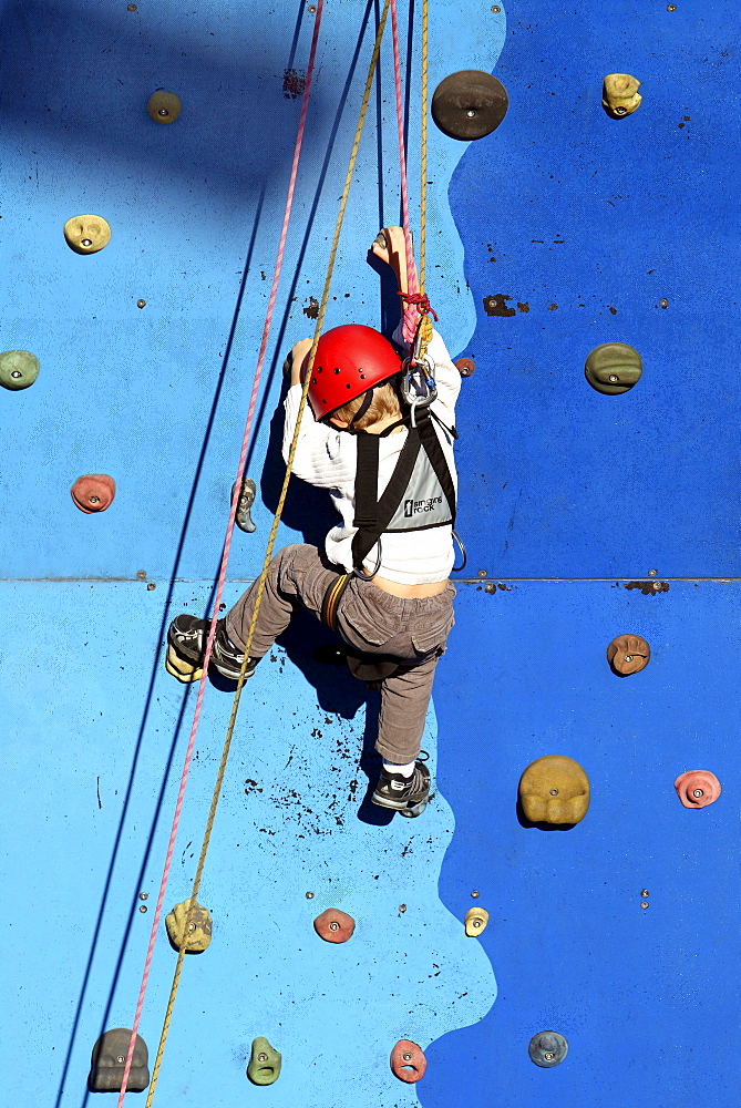 Child climbing on a climbing wall, secured with rope, Essen, Germany, Europe