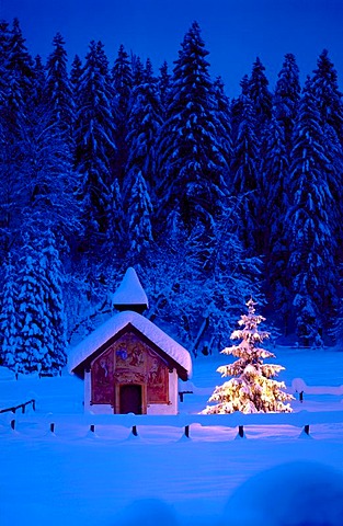 Kapelle Elmau chapel, christmas tree, dusk, Bavaria, Germany, Europe