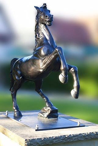 Jumping black horse, heraldic animal of the town of Bad Rappenau, Baden-Wuerttemberg, Germany, Europe, PublicGround