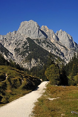 View from Bindalm, alp, to Mt Muehlsturzhoerner, Hintersee near Ramsau, Upper Bavaria, Bavaria, Germany, Europe