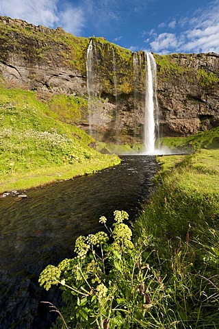 Seljalandsfoss Waterfall, South Iceland, Iceland, Europe