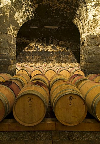 Wine aging in oak barrels in vaulted wine cellar in Bolzano, Bozen, Trentino-Alto Adige, Italy, Europe