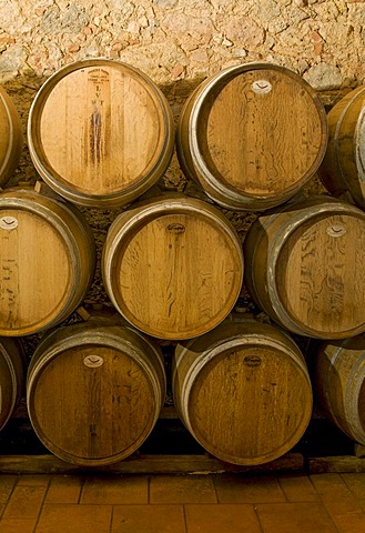 Wine aging in oak barrels in wine cellar in Chianti, Toscana, Tuscany, Italy, Europe