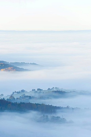 Misty landscape near Balingen, Swabian Alb, Baden-Wuerttemberg, Germany, Europe