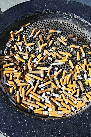 Ashtray full of butts, Bavaria, Germany, Europe