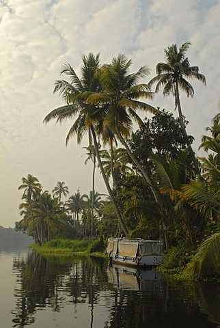 Boat and palm trees reflected in the backwaters of Alleppey, Kerala, India, Asia