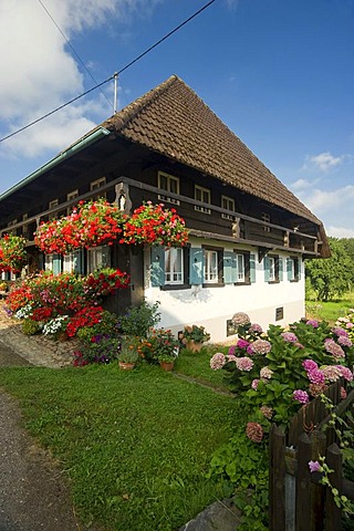 Old farmhouse in Glottertal, Forest, Baden-Wuerttemberg, Germany, Europe