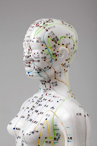 Acupuncture, a female model with marked acupuncture points labeled with Chinese characters on the meridians, detail head and torso, traditional Chinese medicine, TCM, the body's energy flow, Qi