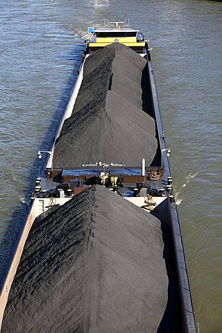 Bulk carriers, coal cargo on a cargo ship, barge, on the Rhine near Duesseldorf, Rhineland, North Rhine-Westphalia, Germany, Europe