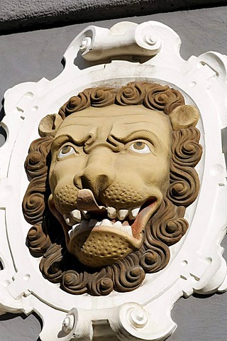 Lion's head with his tongue sticking out, sculptural decoration on a Renaissance facade, Haus zum Stockfisch Museum, Erfurt, Thuringia, Germany, Europe, PublicGround