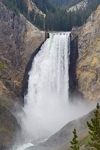 Lower Falls, Yellowstone Canyon, Wyoming, USA