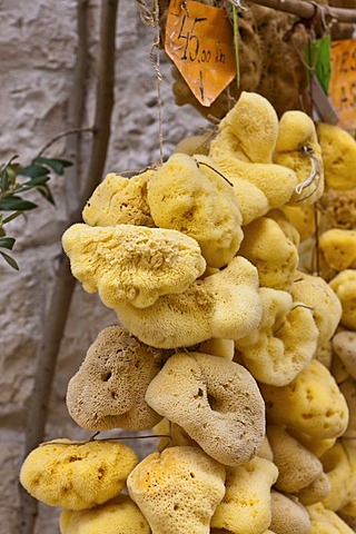 Sponges for sale, historic town centre, Trogir, Split region, Central Dalmatia, Dalmatia, Adriatic coast, Croatia, Europe, PublicGround