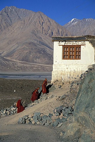 Monks, Diskit Monastery, Deskit Gompa, Hunder, Nubra Valley, Ladakh, Indian Himalayas, Jammu and Kashmir, northern India, India, Asia