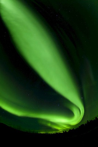 Swirling Northern lights, Polar Aurorae, Aurora Borealis, green, near Whitehorse, Yukon Territory, Canada