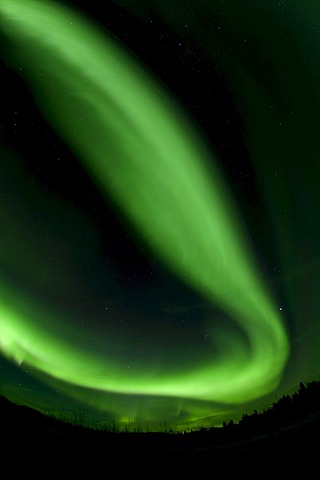 Swirling Northern lights, Polar Aurorae, Aurora Borealis, green, near Whitehorse, Yukon Territory, Canada