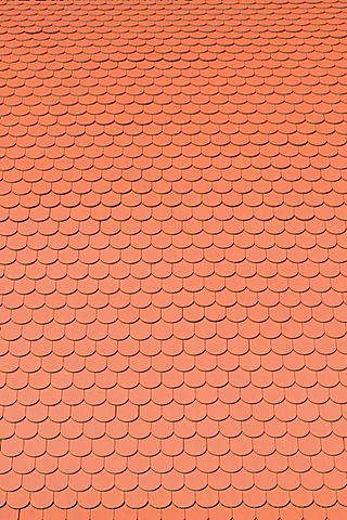 Biberschwanz roofing tiles