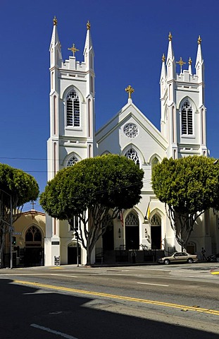 Shrine Church of Saint Francis in Assisi, San Francisco, California, United States of America, PublicGround