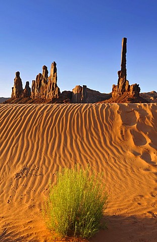 Sand dunes in front of Totem Pole and Yei Bi Chei rock formations after sunrise, Monument Valley, Navajo Tribal Park, Navajo National Reservation, Arizona, Utah, USA