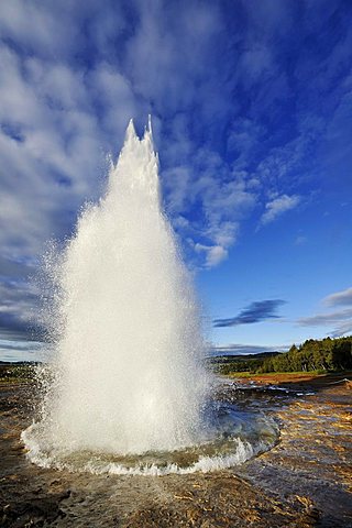 Geyser Strokkur eruption of fountains, ejected water spouts, sequence of 4 shots, geyser, Iceland, Europe