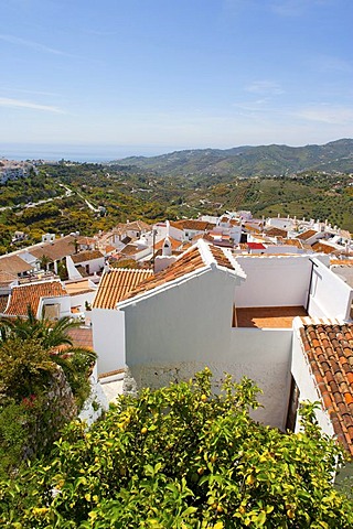 Overlooking the town of Frigiliana, Andalusia, Spain, Europe