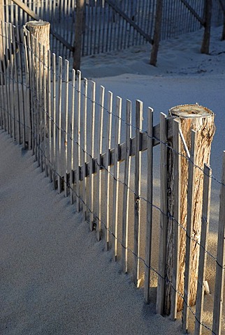 A sand fence illuminated by warm morning light, near Provincetown at the top of Cape Cod Bay, Massachusetts, USA