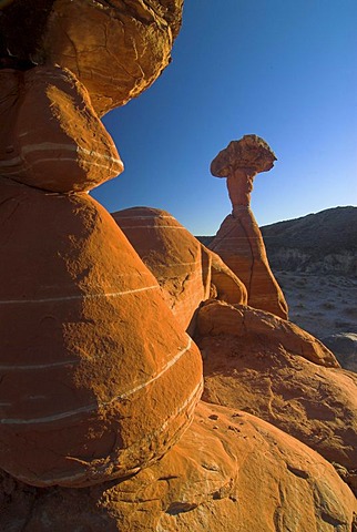 A hoodoo, rock formation, in warm evening light, in the Rimrocks area, Toadstool Valley, in southern Utah, USA