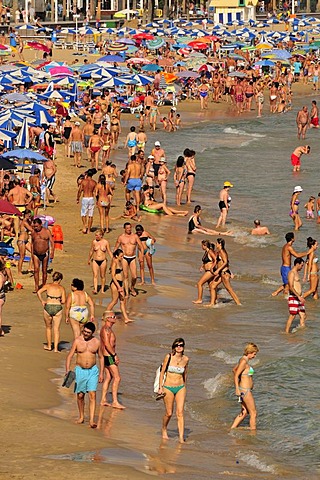 Bathers on Playa Levante beach, mass tourism, Benidorm, Costa Blanca, Spain, Europe